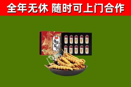 广信回收冬虫夏草价格