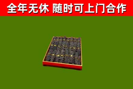 广信回收海参